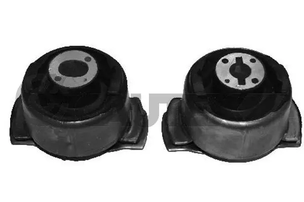 Bushing, axle beam (021074)