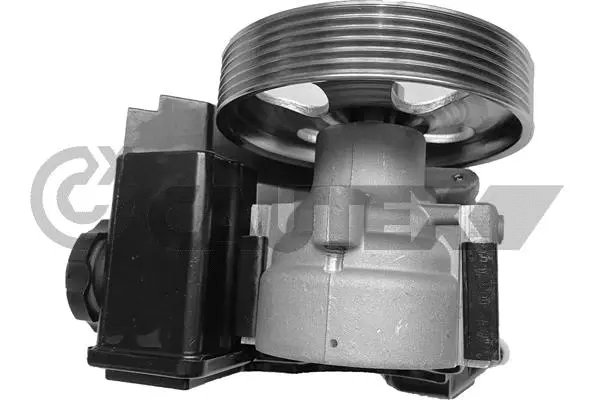 Hydraulic Pump, steering (768268)