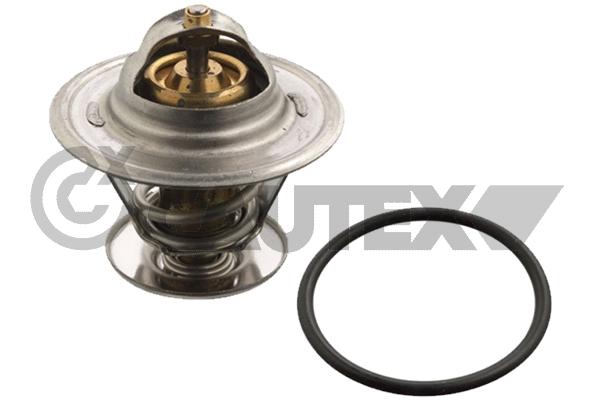 Thermostat, coolant (756866)