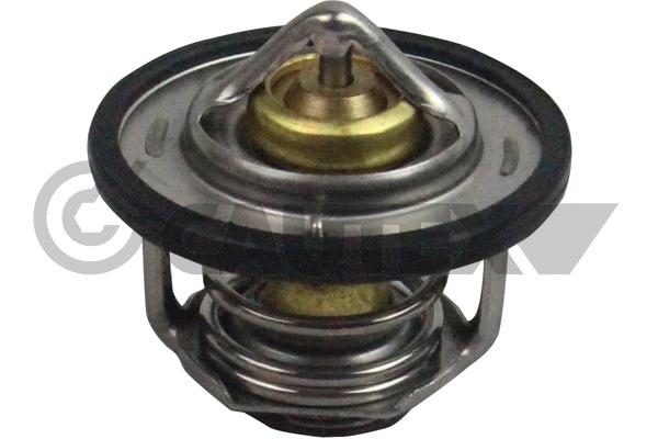 Thermostat, coolant (756880)