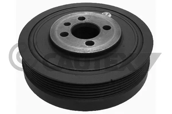 Belt Pulley, crankshaft (460965)