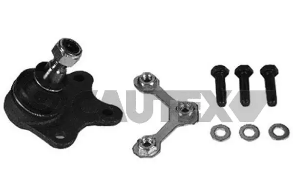 Ball Joint (755031)