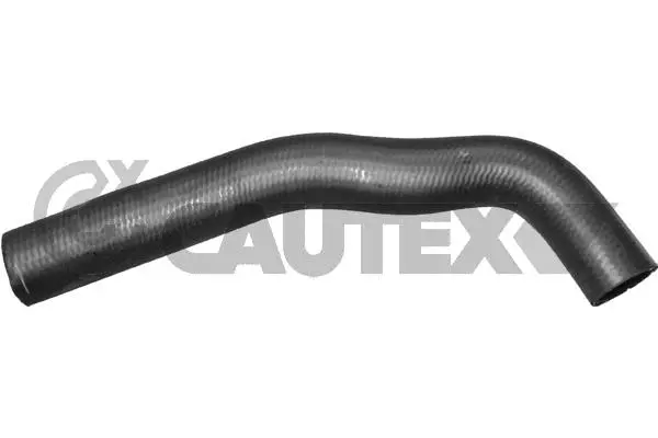 Radiator Hose (035030)