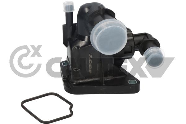 Thermostat, coolant (750798)