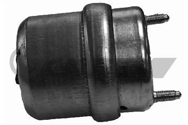 Mounting, engine (461039)