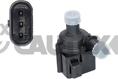 Auxiliary Water Pump (cooling water circuit) (768126)