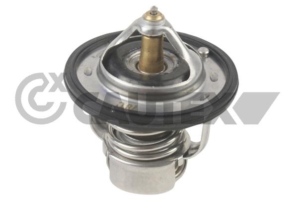 Thermostat, coolant (772142)