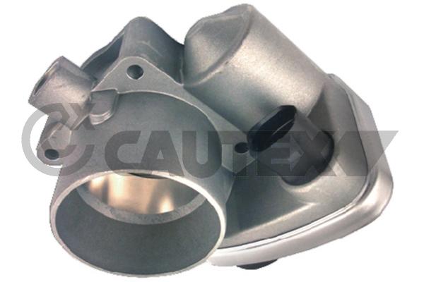 Throttle Body (766793)