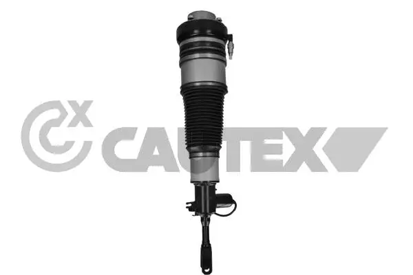 Air Suspension Strut (752167)