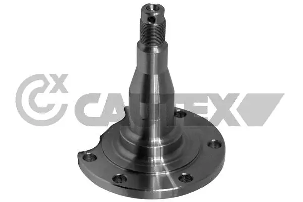 Steering Knuckle, wheel suspension (771745)
