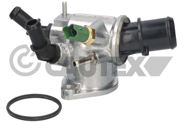 Thermostat, coolant (756867)