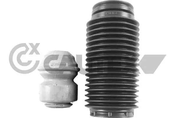 Dust Cover Kit, shock absorber (763687)