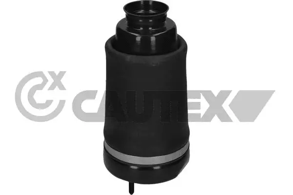 Air Spring, suspension (752906)
