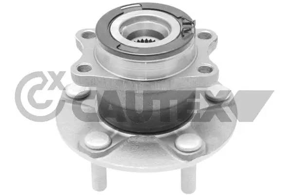 Wheel Hub (769704)