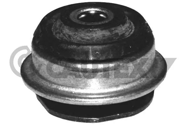 Bushing, axle beam (755399)