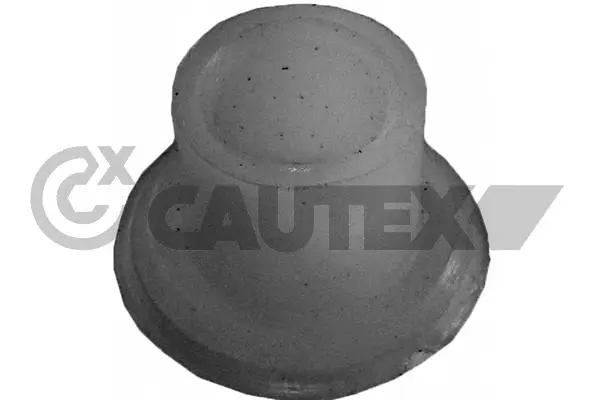 Bushing, selector/shift rod (030274)