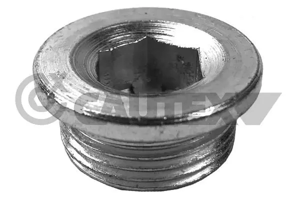 Screw Plug, oil sump (756774)