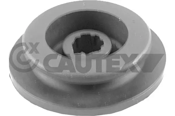 Radiator Mounting (758544)