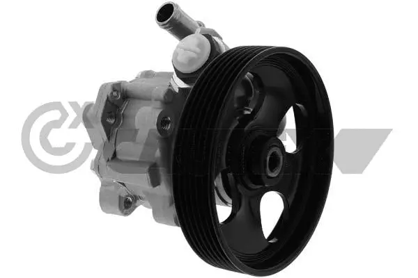 Hydraulic Pump, steering (773801)