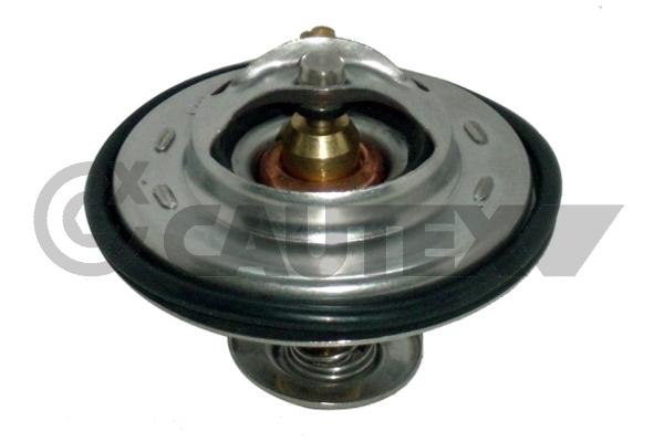 Thermostat, coolant (770203)