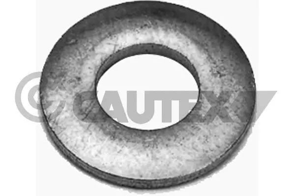 Seal Ring, injector (769266)