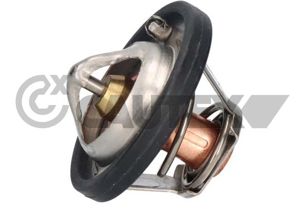 Thermostat, coolant (756865)