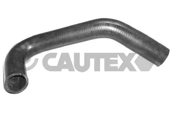Radiator Hose (086399)