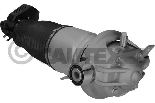 Air Suspension Strut (752020)