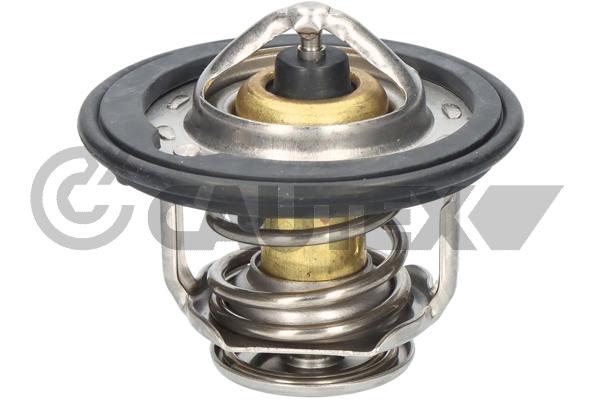 Thermostat, coolant (756894)