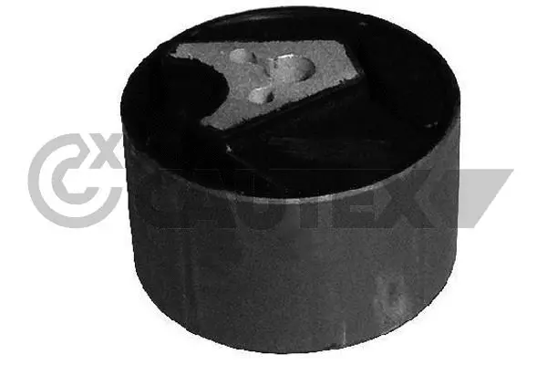 Mounting, engine (031696)