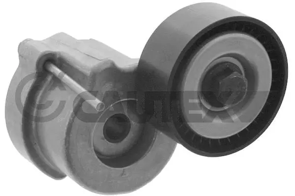 Repair Kit, v-ribbed belt tensioner (769711)