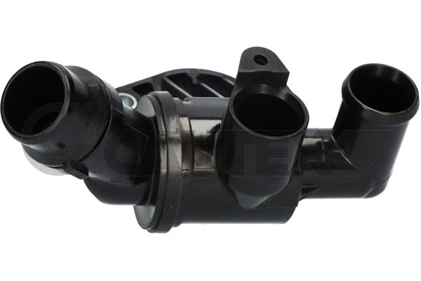 Thermostat, coolant (750873)