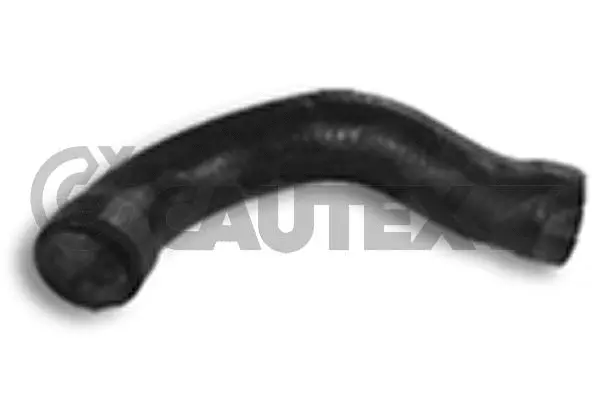 Radiator Hose (206013)
