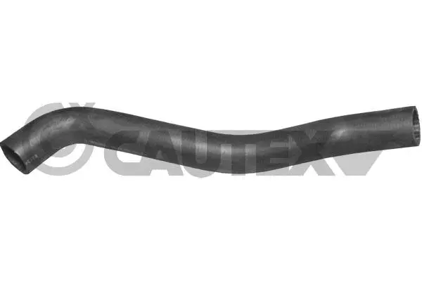 Radiator Hose (016188)