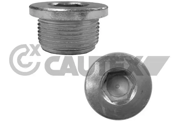 Screw Plug, oil sump (180934)
