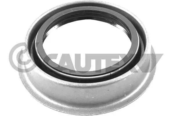 Shaft Seal, differential (758459)