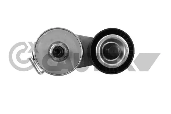 Belt Tensioner, V-ribbed belt (480913)