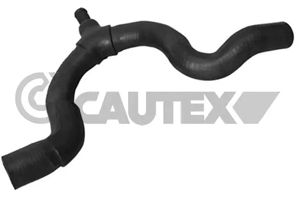 Radiator Hose (026787)