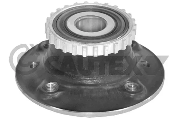 Wheel Hub (769705)