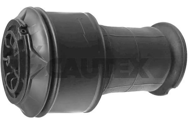 Air Spring, suspension (753453)