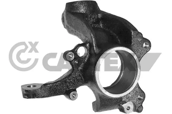 Steering Knuckle, wheel suspension (771746)