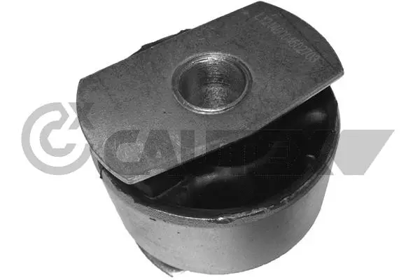Mounting, control/trailing arm (020126)