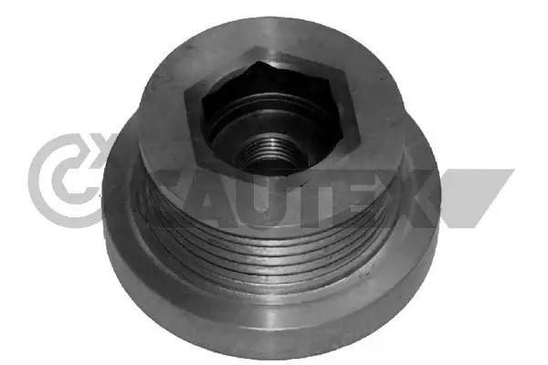 Alternator Freewheel Clutch (020956)