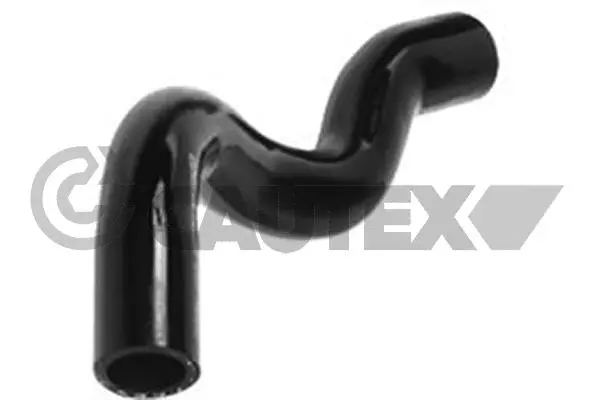 Radiator Hose (026498)