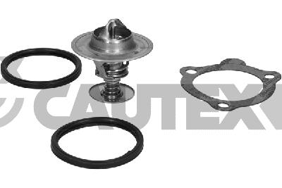 Thermostat, coolant (775901)