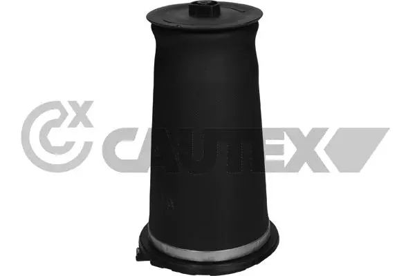Air Spring, suspension (753484)