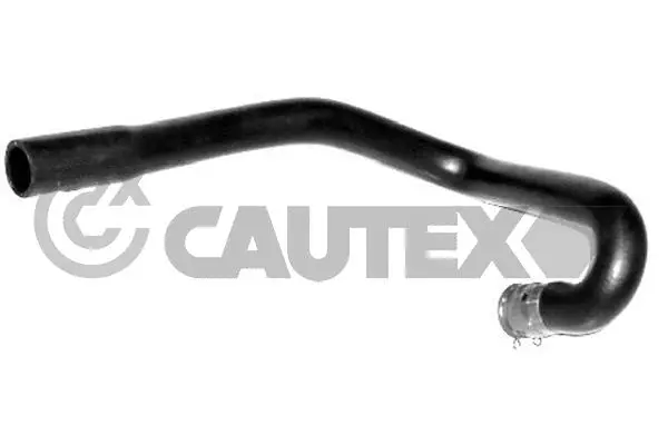 Radiator Hose (036450)