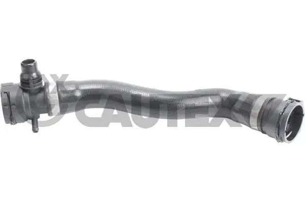 Radiator Hose (765488)