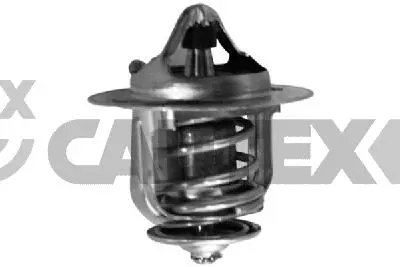 Thermostat, coolant (773634)