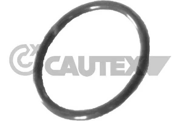 Gasket, coolant pipe (758519)